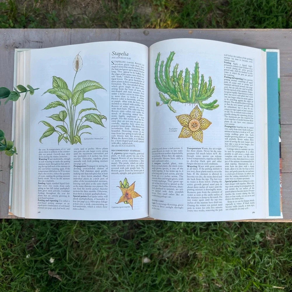 Vintage 1970s Readers Digest House Plant Coffee Table Book